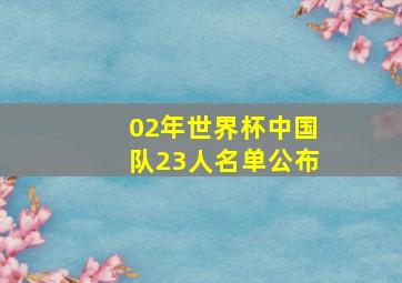 02年世界杯中国队23人名单公布