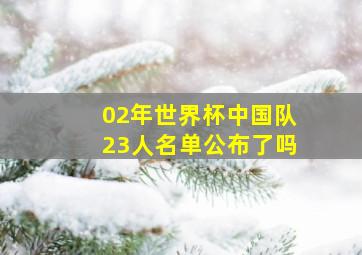 02年世界杯中国队23人名单公布了吗