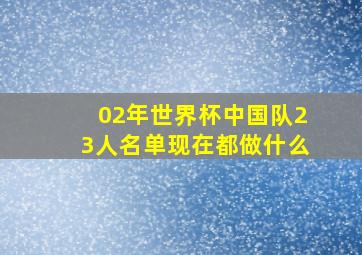 02年世界杯中国队23人名单现在都做什么