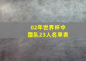 02年世界杯中国队23人名单表