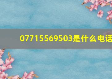 07715569503是什么电话