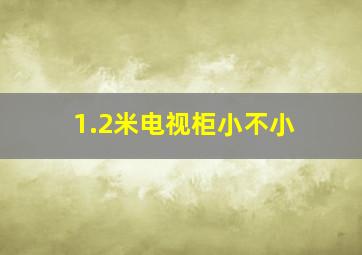 1.2米电视柜小不小