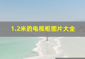 1.2米的电视柜图片大全