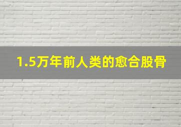 1.5万年前人类的愈合股骨