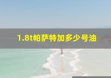 1.8t帕萨特加多少号油