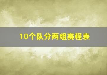 10个队分两组赛程表