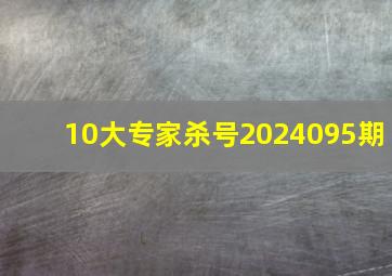 10大专家杀号2024095期