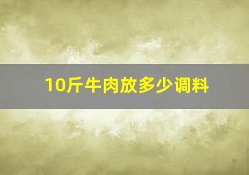 10斤牛肉放多少调料