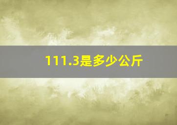 111.3是多少公斤