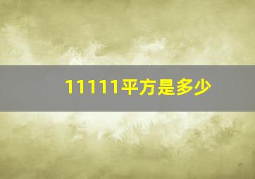 11111平方是多少