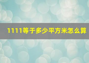 1111等于多少平方米怎么算