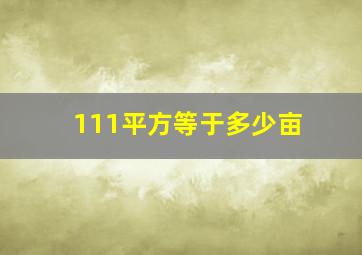 111平方等于多少亩