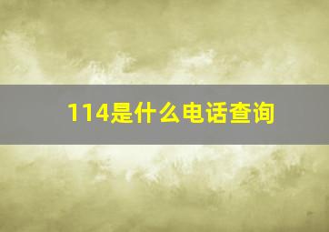 114是什么电话查询