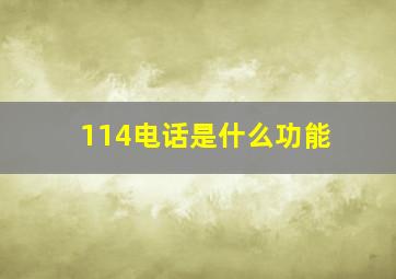 114电话是什么功能