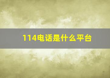 114电话是什么平台