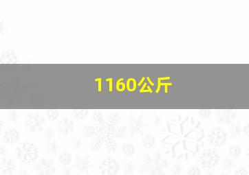 1160公斤