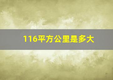 116平方公里是多大