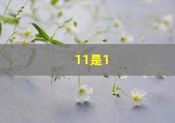 11是1