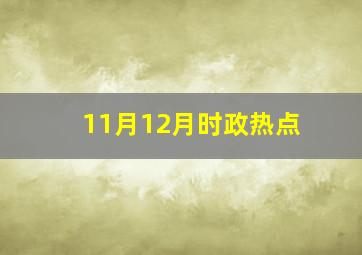 11月12月时政热点