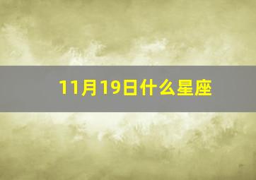 11月19日什么星座