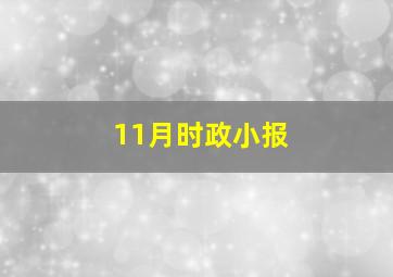 11月时政小报