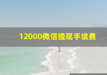 12000微信提现手续费