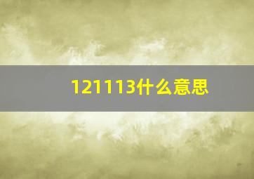 121113什么意思