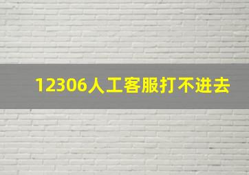 12306人工客服打不进去