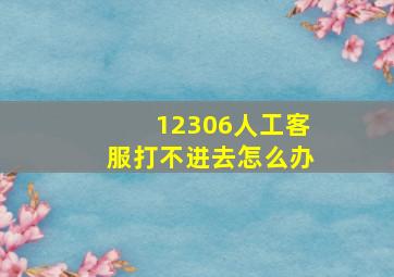 12306人工客服打不进去怎么办