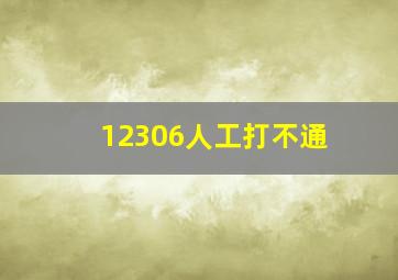 12306人工打不通