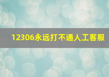 12306永远打不通人工客服