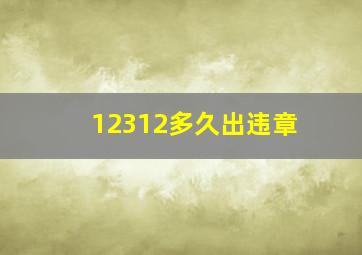 12312多久出违章