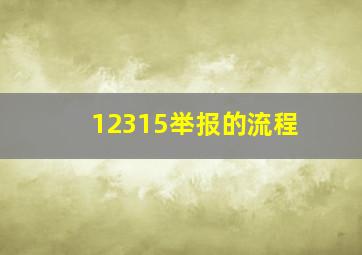 12315举报的流程