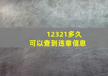 12321多久可以查到违章信息