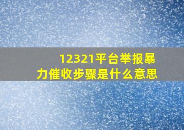 12321平台举报暴力催收步骤是什么意思