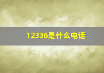 12336是什么电话