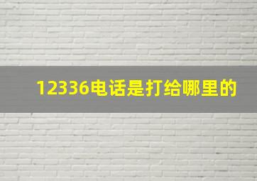 12336电话是打给哪里的