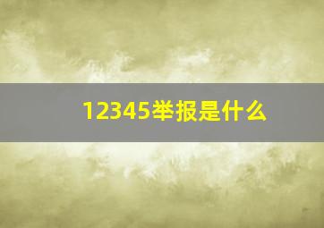 12345举报是什么