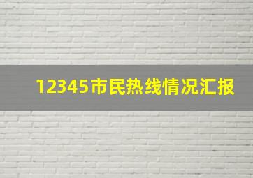 12345市民热线情况汇报