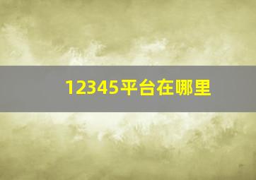 12345平台在哪里