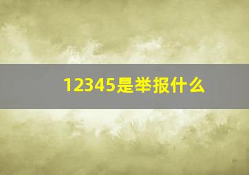 12345是举报什么