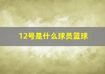 12号是什么球员篮球