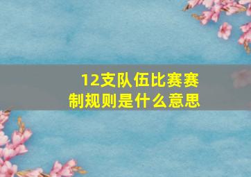 12支队伍比赛赛制规则是什么意思