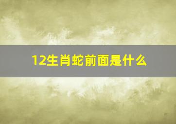 12生肖蛇前面是什么