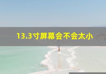 13.3寸屏幕会不会太小