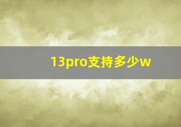 13pro支持多少w