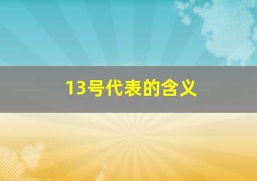 13号代表的含义