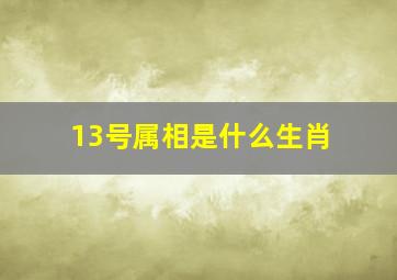 13号属相是什么生肖