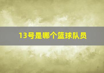 13号是哪个篮球队员