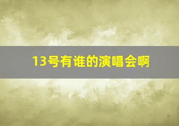 13号有谁的演唱会啊